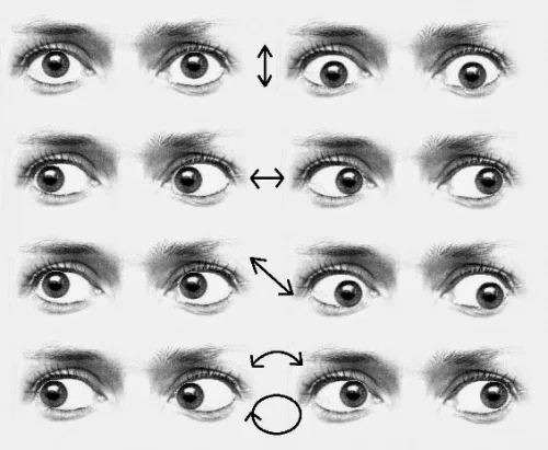 6 Ejercicios Para El Estrabismo: Fortalezca Sus Ojos Y Mejore Su Visión